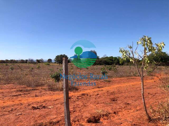 #140 - Fazenda para Venda em Palmeirópolis - TO