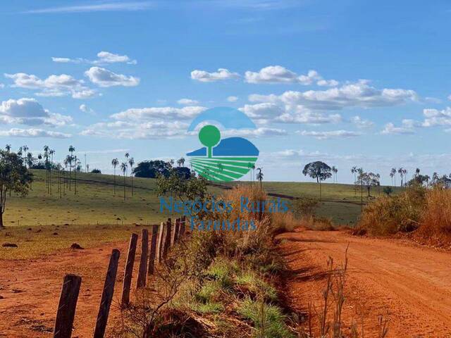 Fazenda para Venda em Barro Alto - 1