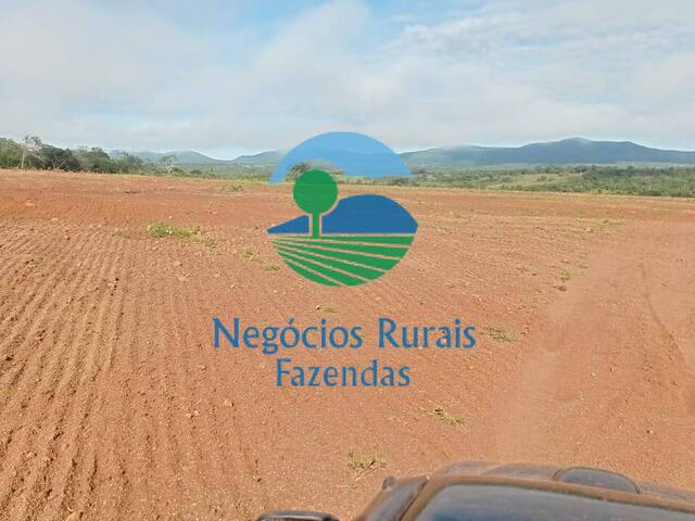 #143 - Fazenda para Venda em Porangatu - GO - 1