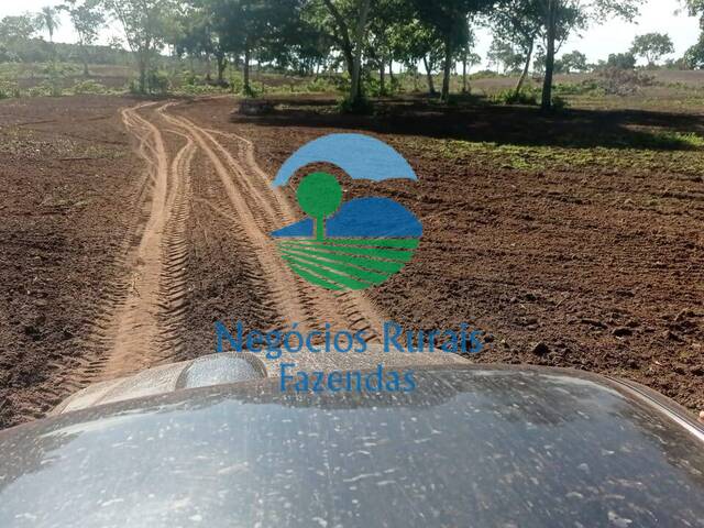 #143 - Fazenda para Venda em Porangatu - GO - 2