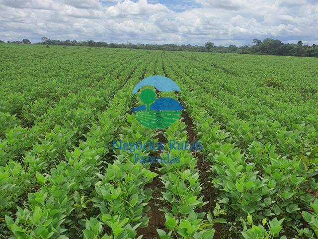 Fazenda para Venda em Novo Planalto - 1