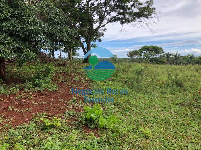 #146 - Fazenda para Venda em Uruaçu - GO - 2