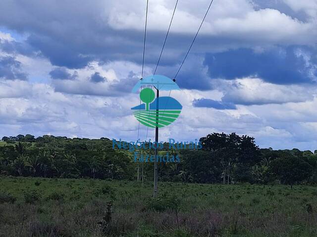 Fazenda para Venda em Campinorte - 3