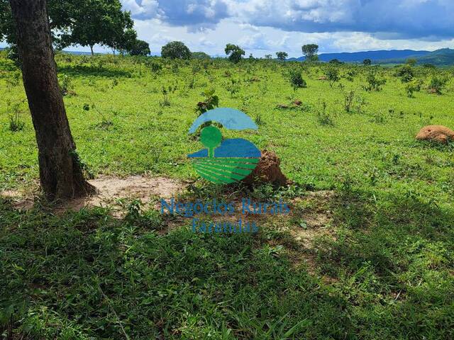 Fazenda para Venda em Campinorte - 4