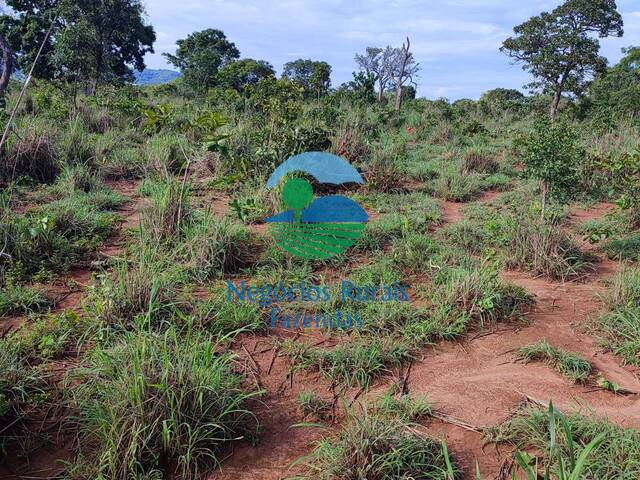 #148 - Fazenda para Venda em Campinorte - GO