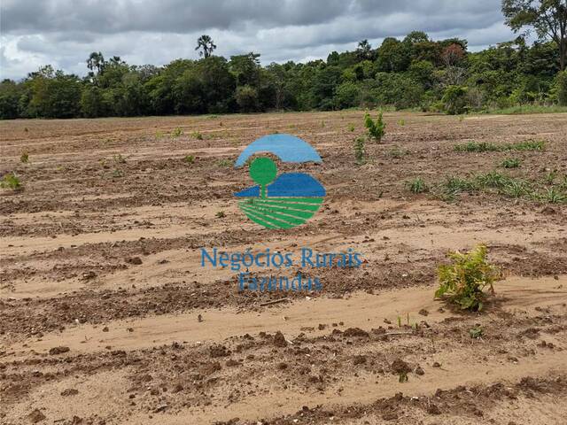 Fazenda para Venda em Niquelândia - 2