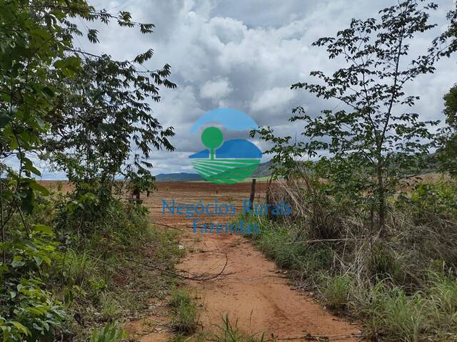 Fazenda para Venda em Niquelândia - 3