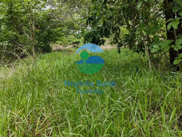 Fazenda para Venda em Niquelândia - 4