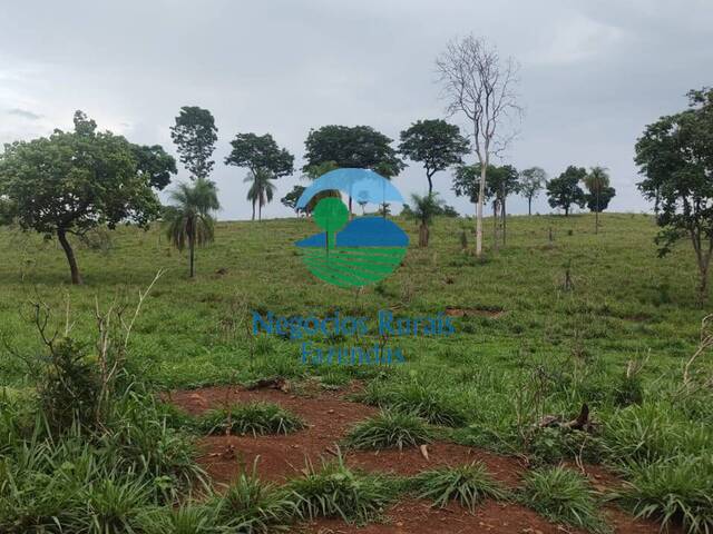 Venda em ZONA RURAL - Niquelândia