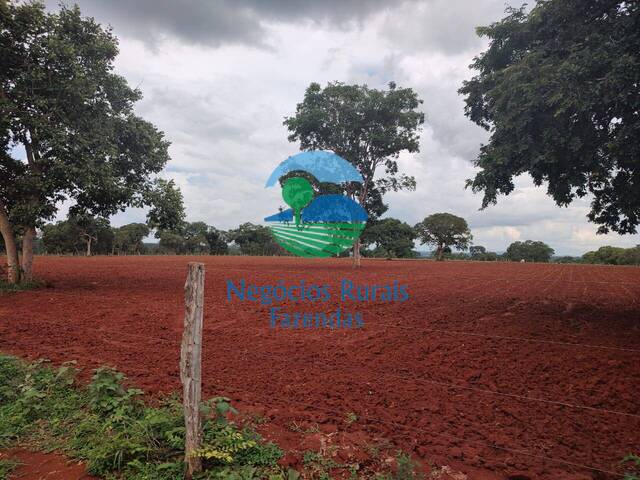 Fazenda para Venda em Alto Horizonte - 3