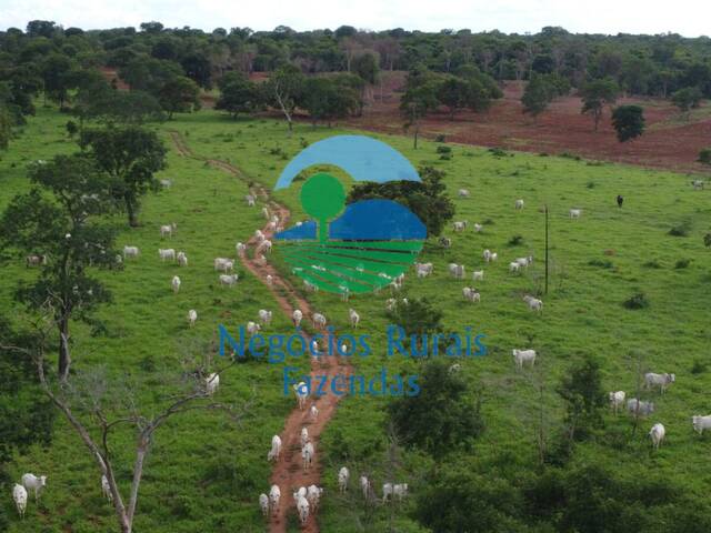 Fazenda para Venda em Alto Horizonte - 2