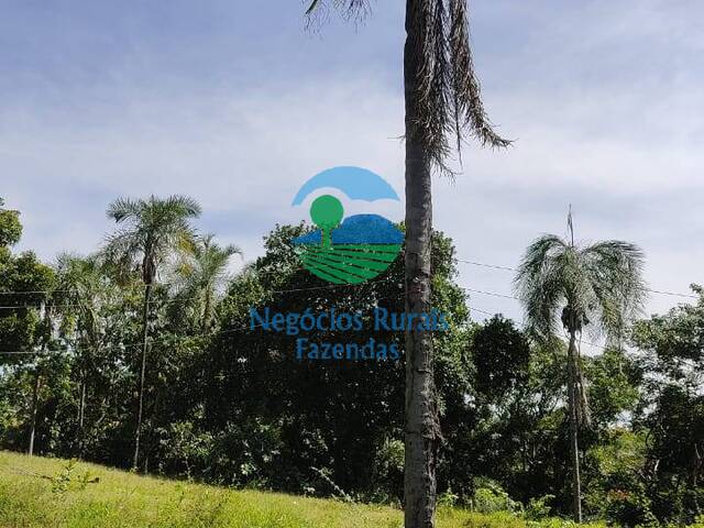 #154 - Fazenda para Venda em Padre Bernardo - GO - 3