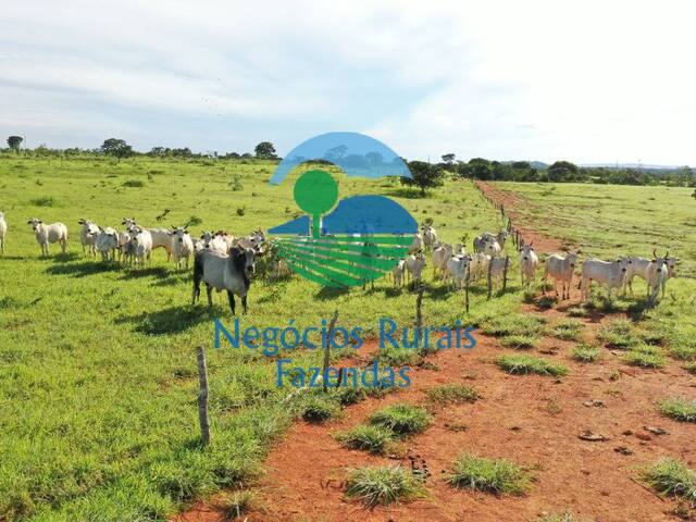 #154 - Fazenda para Venda em Padre Bernardo - GO - 2