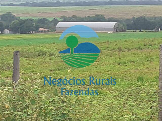 Fazenda para Venda em Pedro Afonso - 2