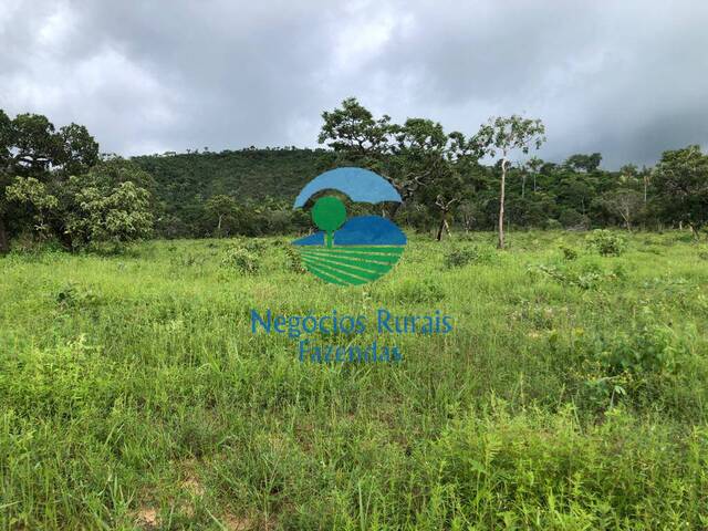 Fazenda para Venda em Uruaçu - 2