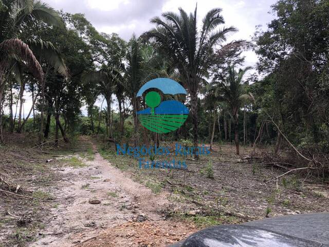 Fazenda para Venda em Uruaçu - 3