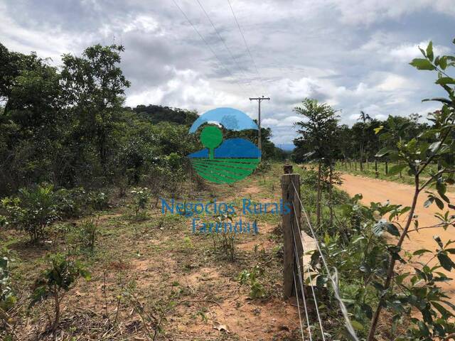 Fazenda para Venda em Uruaçu - 4