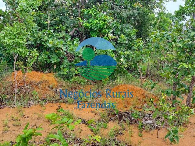 Fazenda para Venda em São Valério da Natividade - 5