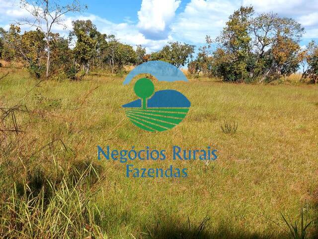 Fazenda para Venda em São Valério da Natividade - 4