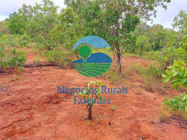 Fazenda para Venda em São Valério da Natividade - 2