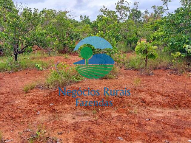 Fazenda para Venda em São Valério da Natividade - 3