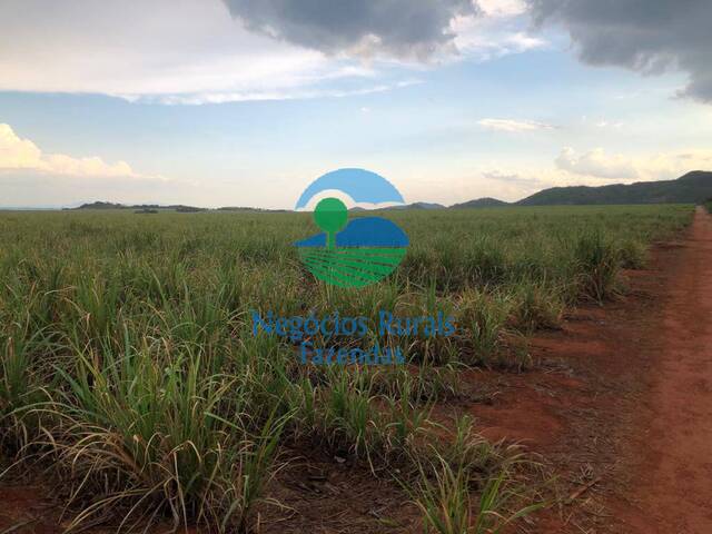 Fazenda para Venda em Uruaçu - 2