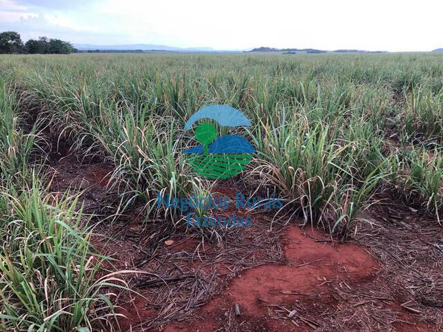 Fazenda para Venda em Uruaçu - 3