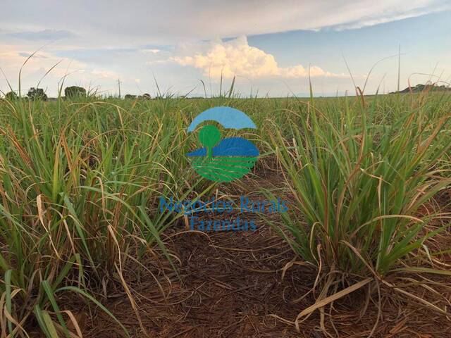 Fazenda para Venda em Uruaçu - 5