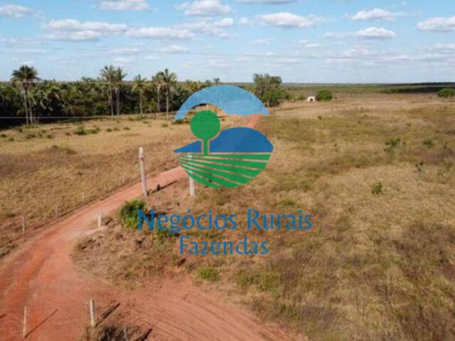 #159 - Fazenda para Venda em Guaraí - TO