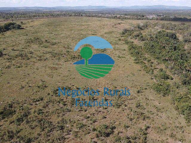 Fazenda para Venda em Divinópolis do Tocantins - 2