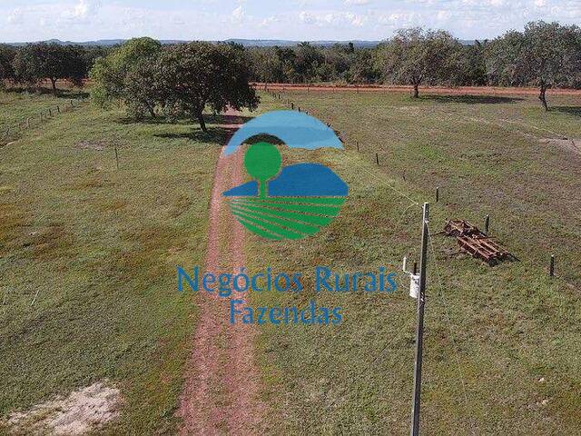 Fazenda para Venda em Divinópolis do Tocantins - 3