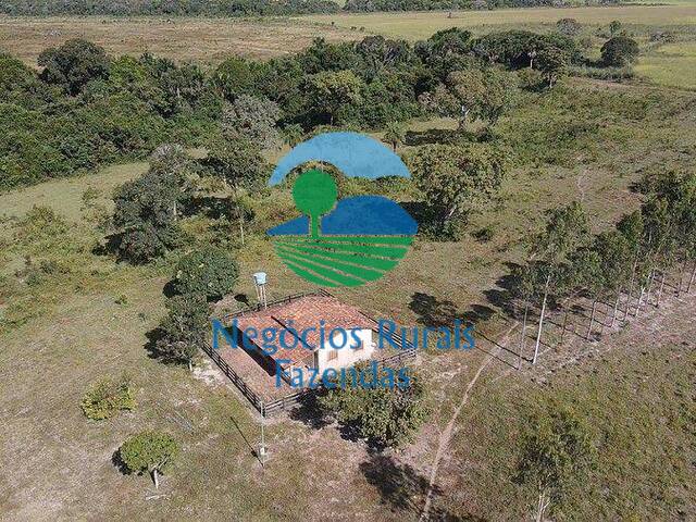 Fazenda para Venda em Divinópolis do Tocantins - 5