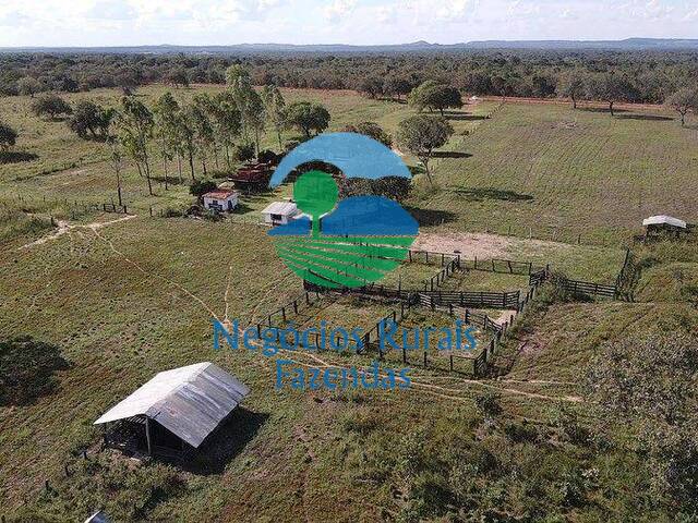 Fazenda para Venda em Divinópolis do Tocantins - 4