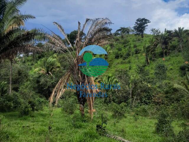 Fazenda para Venda em Mimoso de Goiás - 3