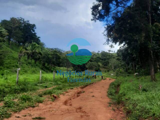 Fazenda para Venda em Mimoso de Goiás - 4