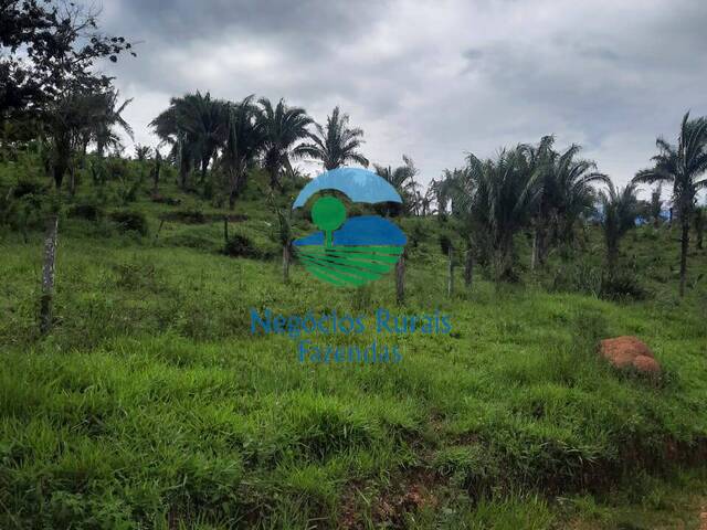 Venda em Zona rural - Mimoso de Goiás