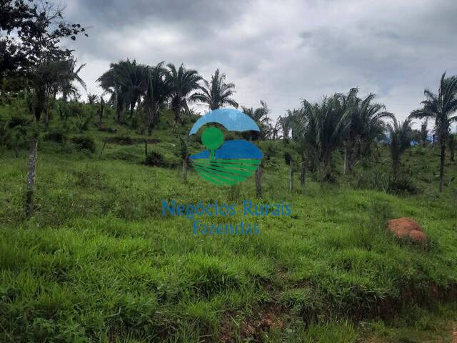 Fazenda para Venda em Mimoso de Goiás - 1