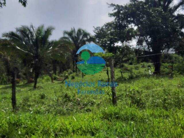 Fazenda para Venda em Mimoso de Goiás - 5