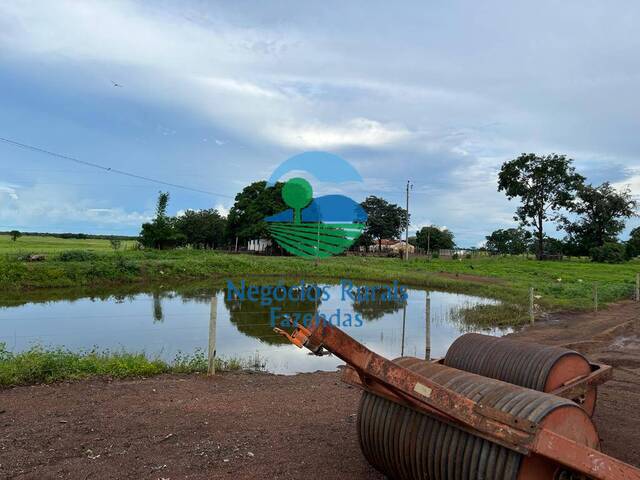 #163 - Fazenda para Venda em Flores de Goiás - GO - 2