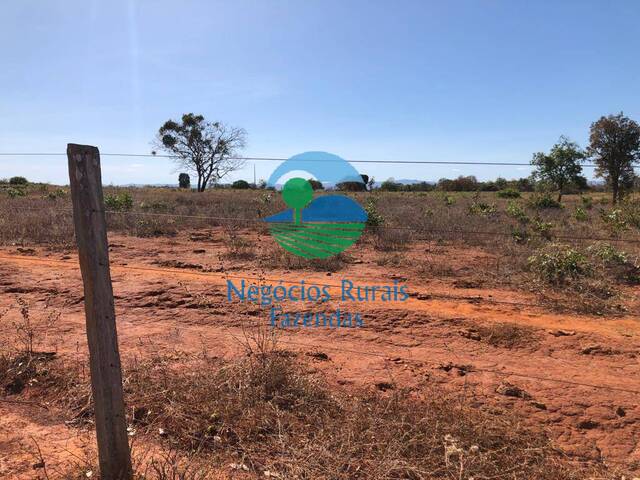 Fazenda para Venda em Palmeirópolis - 1