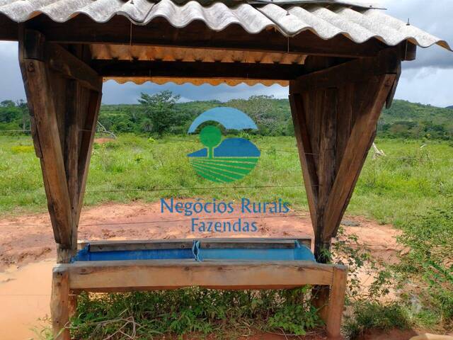 Fazenda para Venda em Silvanópolis - 5