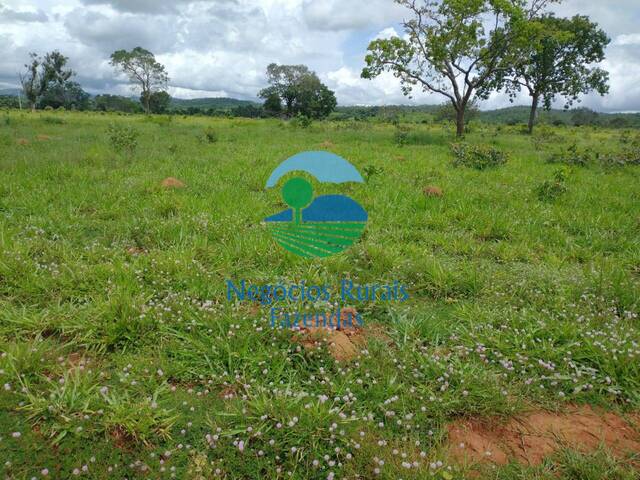 Fazenda para Venda em Silvanópolis - 1