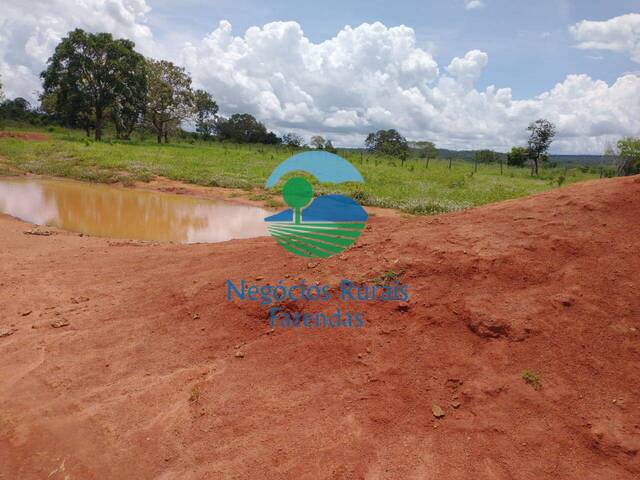 Fazenda para Venda em Silvanópolis - 3