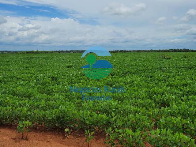 Venda em Zona rural - Silvanópolis