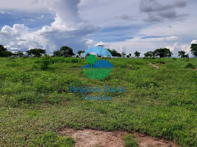 #168 - Fazenda para Venda em Santa Rosa do Tocantins - TO - 2