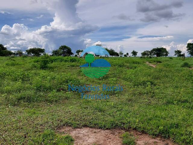 Fazenda para Venda em Santa Rosa do Tocantins - 2