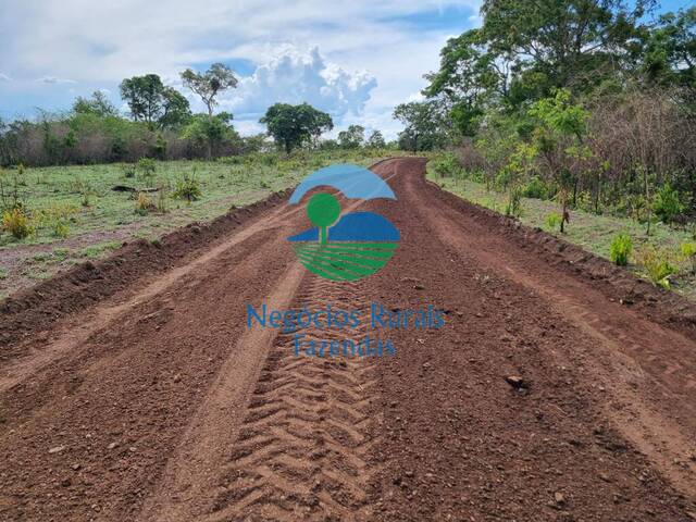 Fazenda para Venda em Rio Sono - 3