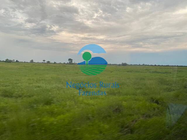 Fazenda para Venda em Rio Sono - 2