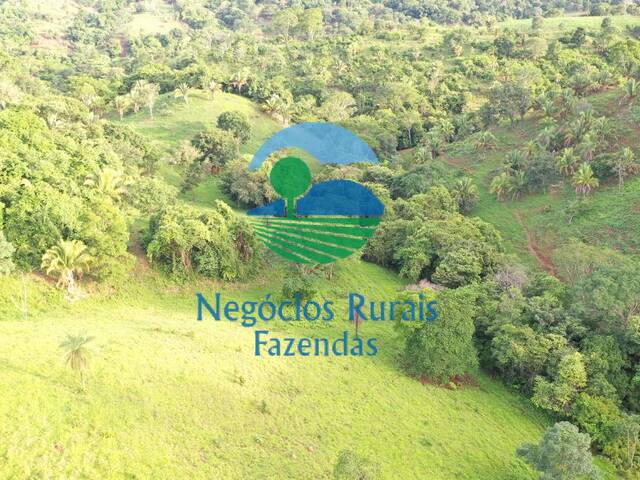 Fazenda para Venda em Formoso - 5