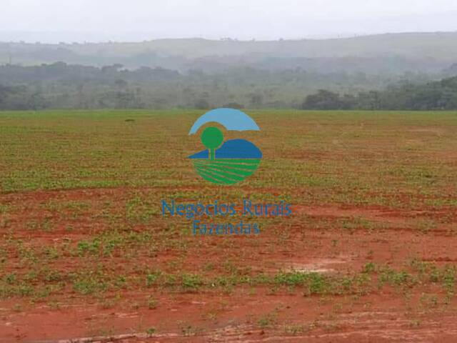 Fazenda para Venda em Uruaçu - 5